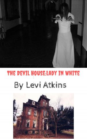 Book cover of The Devil House: Lady in White
