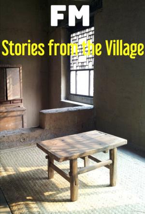 Cover of the book Stories from the Village by Missy Sheldrake