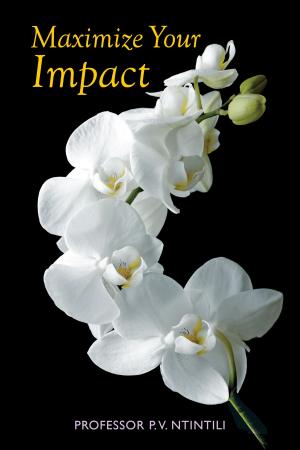 Cover of the book Maximize Your Impact by Patricia J Florin