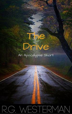 Cover of the book The Drive by Brian O'Donnell.