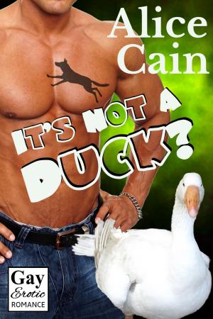 Cover of the book It's Not a Duck? by Alice Cain