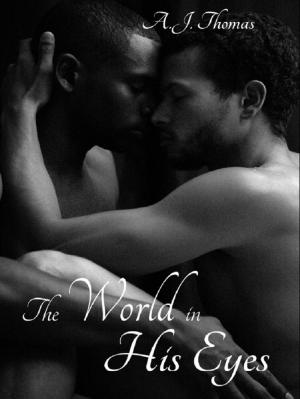 Cover of the book The World in His Eyes by Jamie Denton