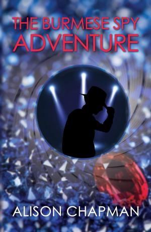 Cover of the book The Burmese Spy Adventure Book by Jasper Wolf