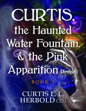 Book cover of Curtis, the Haunted Water Fountain, & the Pink Apparition (Revised)