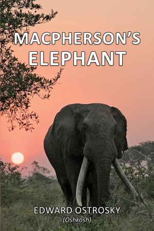 Cover of the book Macpherson’s Elephant by Ian Howe