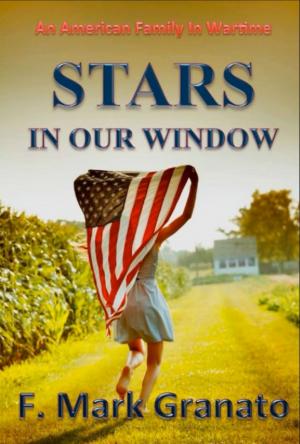 Cover of Stars In Our Windows