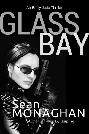 bigCover of the book Glass Bay by 