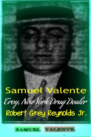 Cover of the book Samuel Valente Troy, New York Drug Dealer by Robert Grey Reynolds Jr
