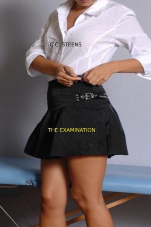 Cover of the book The Examination by CC Steens