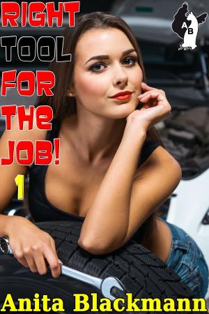 Book cover of Right Tool for the Job! 1