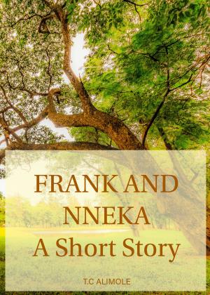 Cover of the book Frank & Nneka by Arthur Weil