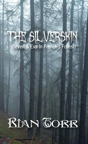 Cover of the book The Silverskin (Seven & Eva In French's Forest) by L.B. Mayman