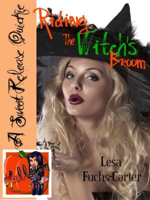 Cover of the book Riding the Witch's Broom by Isadora Rose