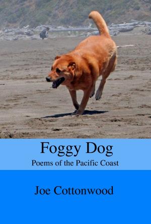 Cover of the book Foggy Dog: Poems of the Pacific Coast by Bonnie Mutchler