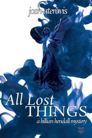 Cover of the book All Lost Things by N.J. Nielsen