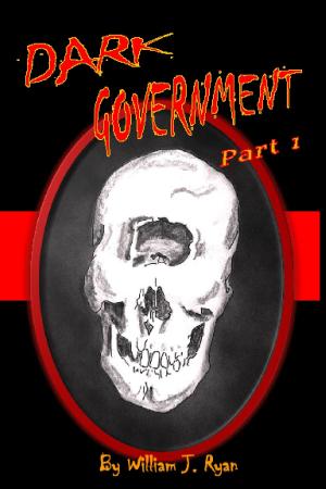 Book cover of Dark Government