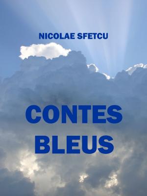 Cover of the book Contes bleus by Greg Brodeur, Scott Ciencin, Dave Galanter, Dan Jolley, Aaron Rosenberg