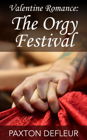 Cover of Valentine Romance: The Orgy Festival