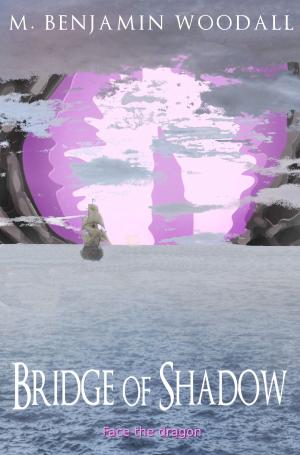 Cover of the book Bridge of Shadow by Erin Buczkowski