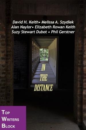 Book cover of In The Distance