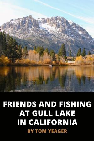 Book cover of Friends and Fishing at Gull Lake in California