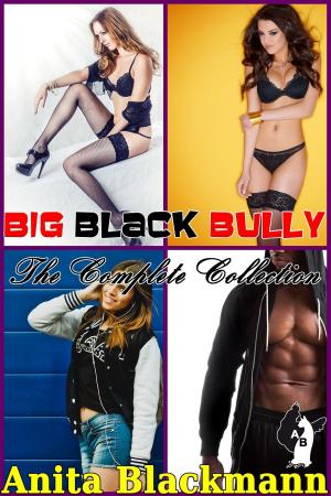 Book cover of Big Black Bully: The Complete Collection