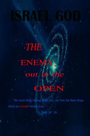 Cover of the book The Enemy out in the Open by Tim Tierney