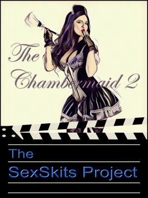 bigCover of the book The Chambermaid 2 by 