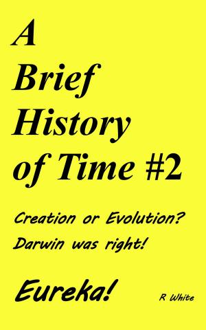 Cover of A Brief History of Time #2