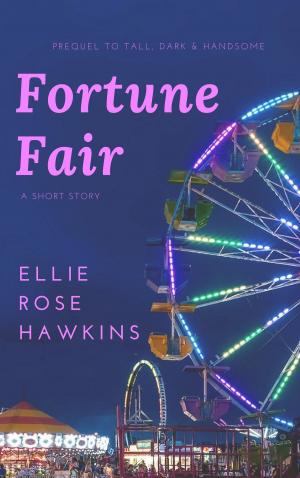 Book cover of Fortune Fair
