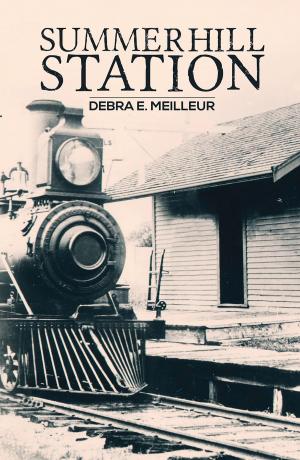 Book cover of Summerhill Station