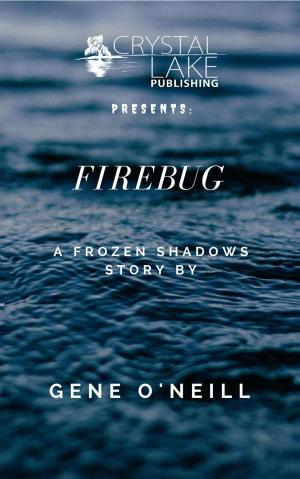 Cover of the book Firebug by Mark Allan Gunnells