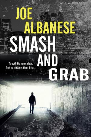 Cover of the book Smash and Grab by Karen Hall