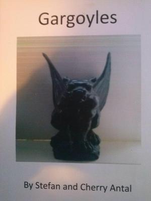 Cover of the book Gargoyles by Magdalena Ecker