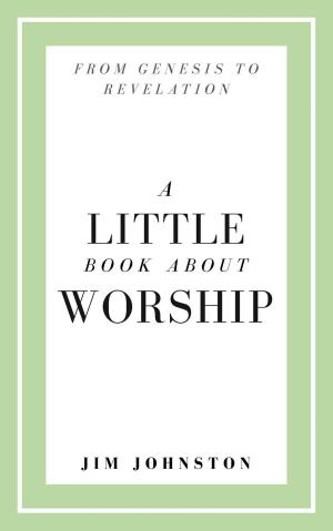 Cover of the book A Little Book About Worship by Geoff Hydon