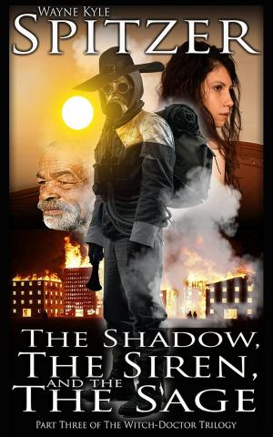 bigCover of the book The Shadow, the Siren, and the Sage by 