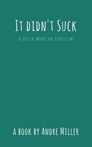 Cover of the book It Didn't Suck: A Quick Word of Stoicism by Mike Phillips