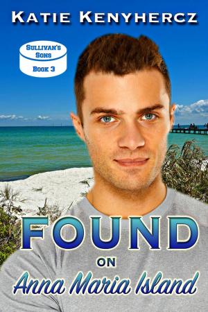 Book cover of Found on Anna Maria Island