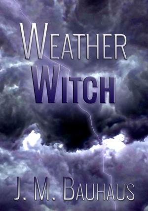 Cover of the book Weather Witch by I. J. Parker