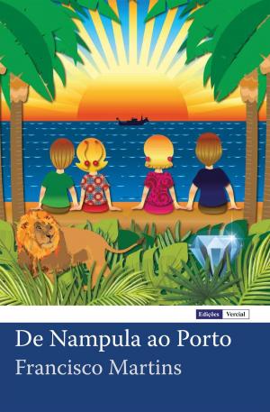Cover of the book De Nampula ao Porto by José Barbosa Machado