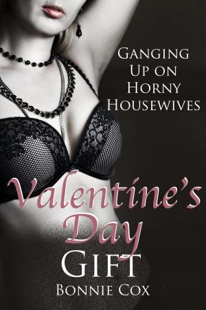 Cover of the book Valentine's Day Gift by Roy Station