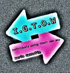 Cover of I.G.T.O.W