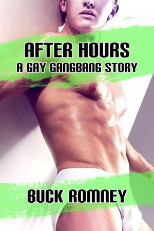 Cover of After Hours - A Gay Gangbang Story