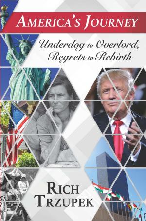 Cover of the book America's Journey: Underdog to Overlord, Regrets to Rebirth by Sharon Bong