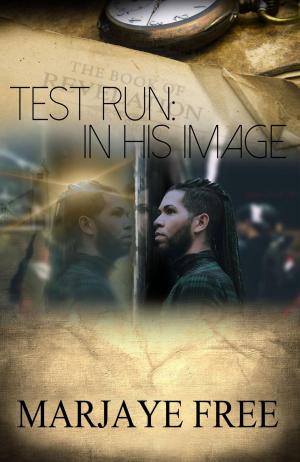 Cover of the book Test Run by Tamara G. Cooper