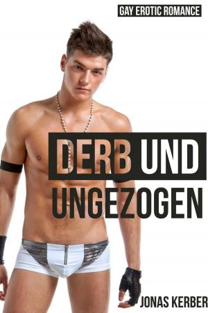 Cover of the book Derb und ungezogen: Gay Erotik Romance by A. Montpierre