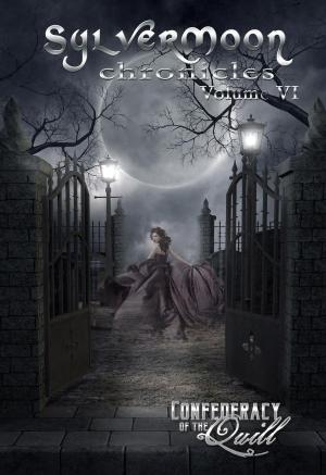 Book cover of SylverMoon Chronicles