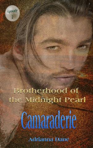 Cover of the book Camaraderie by Kelly Sanders