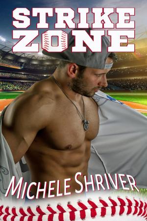 Cover of the book Strike Zone by Columbia-Capstone