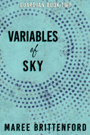 bigCover of the book Variables of Sky by 
